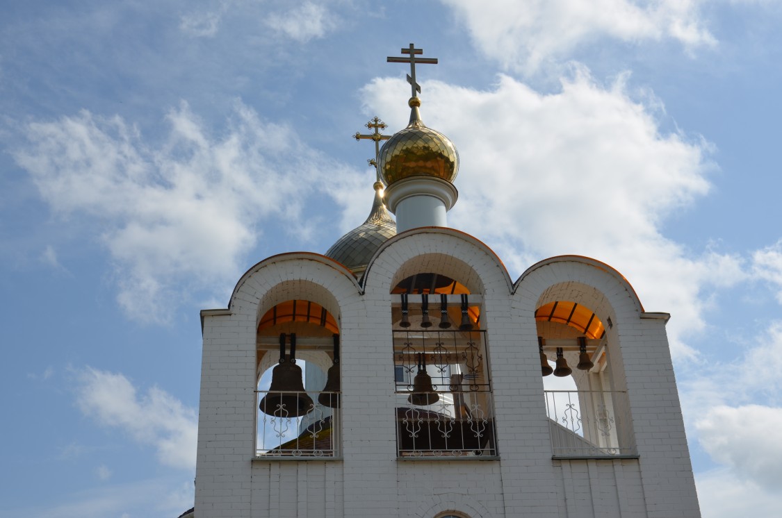 Церковь Вознесения Господня, Рыбки (Сафоновский район, Смоленская область). архитектурные детали