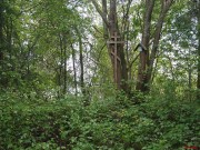 Церковь Троицы Живоначальной, , Погост Троица, Удомельский городской округ, Тверская область
