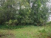 Церковь Троицы Живоначальной, , Погост Троица, Удомельский городской округ, Тверская область