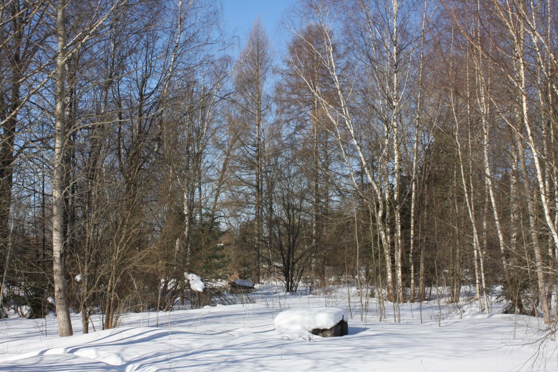 Церковь Рождества Христова, Соколово (Солнечногорский городской округ, Московская область). дополнительная информация, Вид на церковное место с севера.