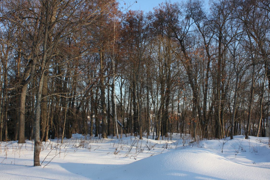 Церковь Воздвижения Креста Господня на городище Вышгород, Новоборисовка (Наро-Фоминский городской округ, Московская область). дополнительная информация, Вид на церковное место с юго-запада.