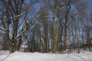 Церковь Преображения Господня, Вид на церковное место с юга.<br>, Семёновское, Дмитровский городской округ, Московская область