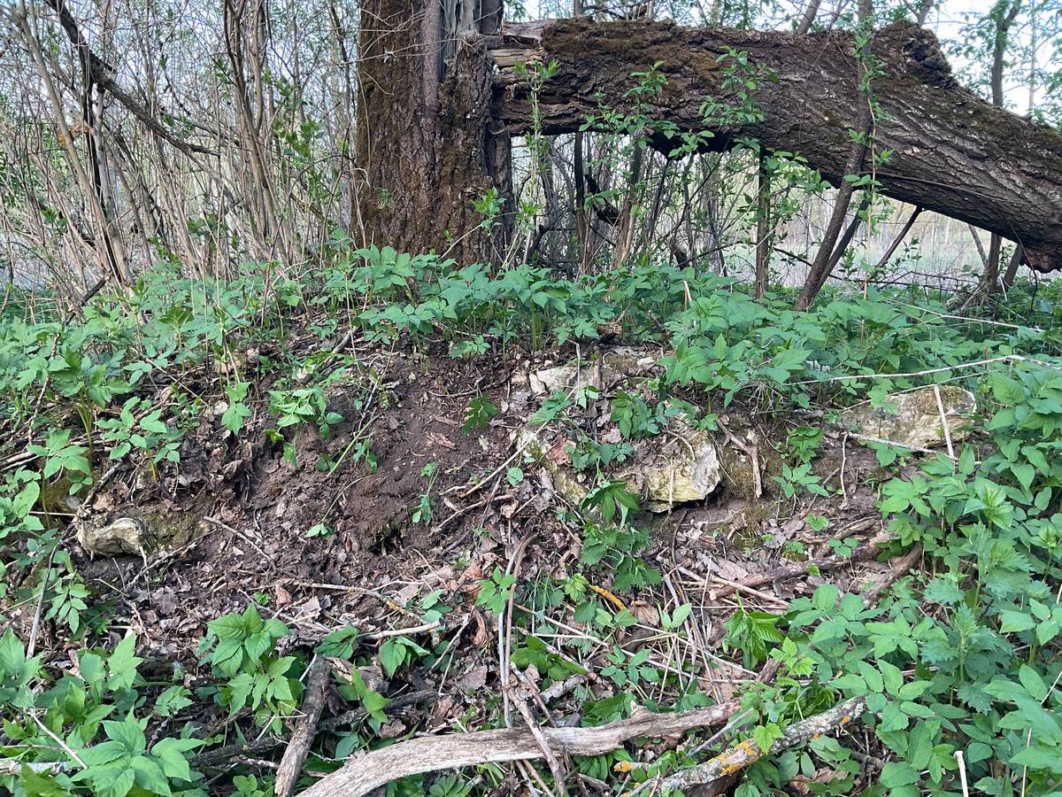 Церковь Преображения Господня, Забелино (Перемышльский район, Калужская область). архитектурные детали, Каменная кладка цоколя