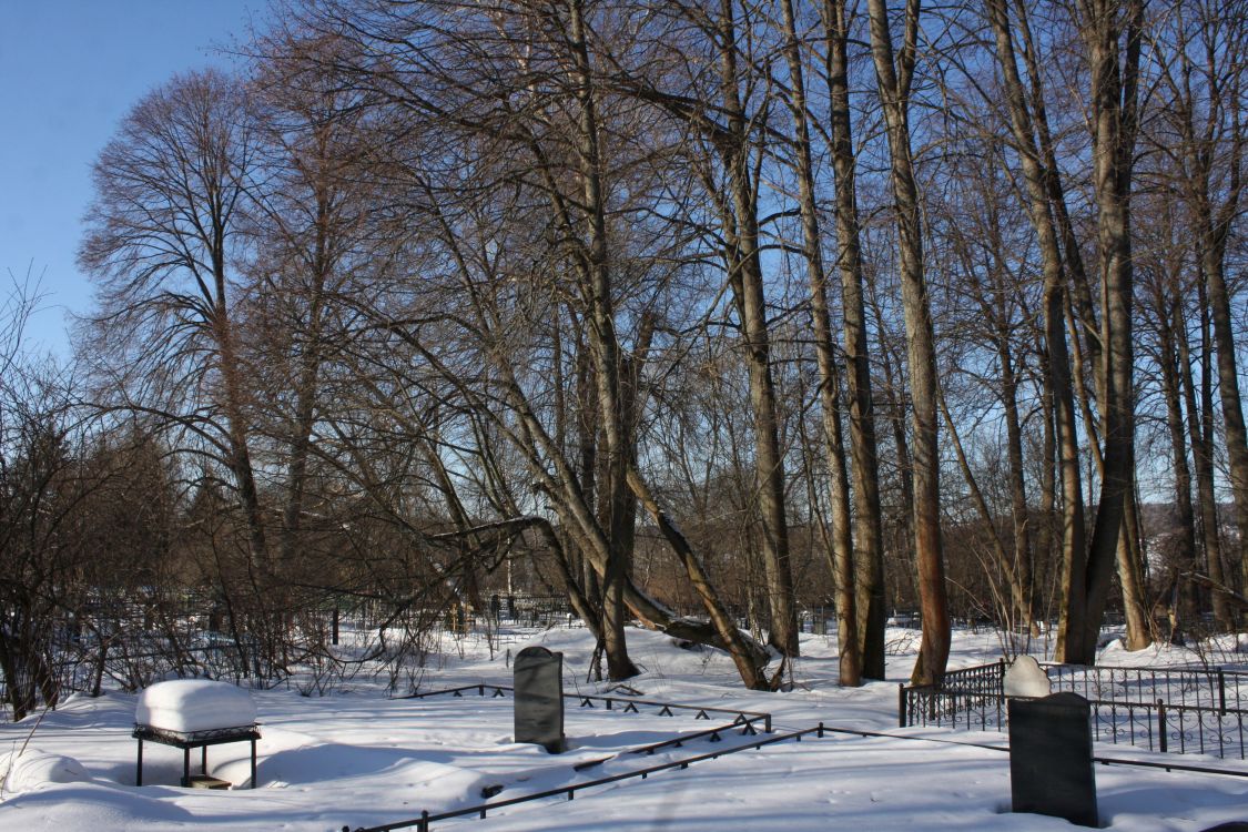 Церковь Покрова Пресвятой Богородицы, Никольский погост (Дмитровский городской округ, Московская область). фасады, Вид на церковное место с юго-востока.