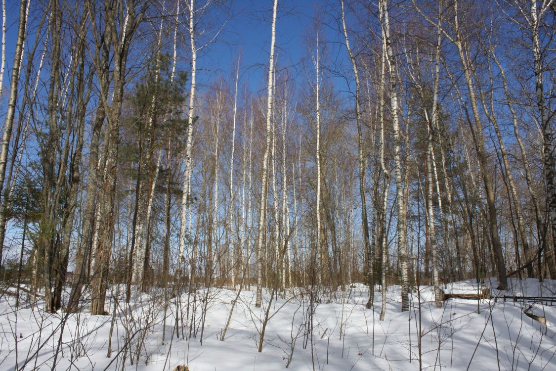 Церковь Троицы Живоначальной, Воловниково (Клинский городской округ, Московская область). дополнительная информация, Вид на церковное место с юга.