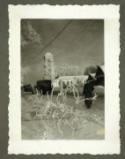 Церковь Григория Богослова, Фото 1941 г. с аукциона e-bay.de<br>, Подберезье, Новгородский район, Новгородская область