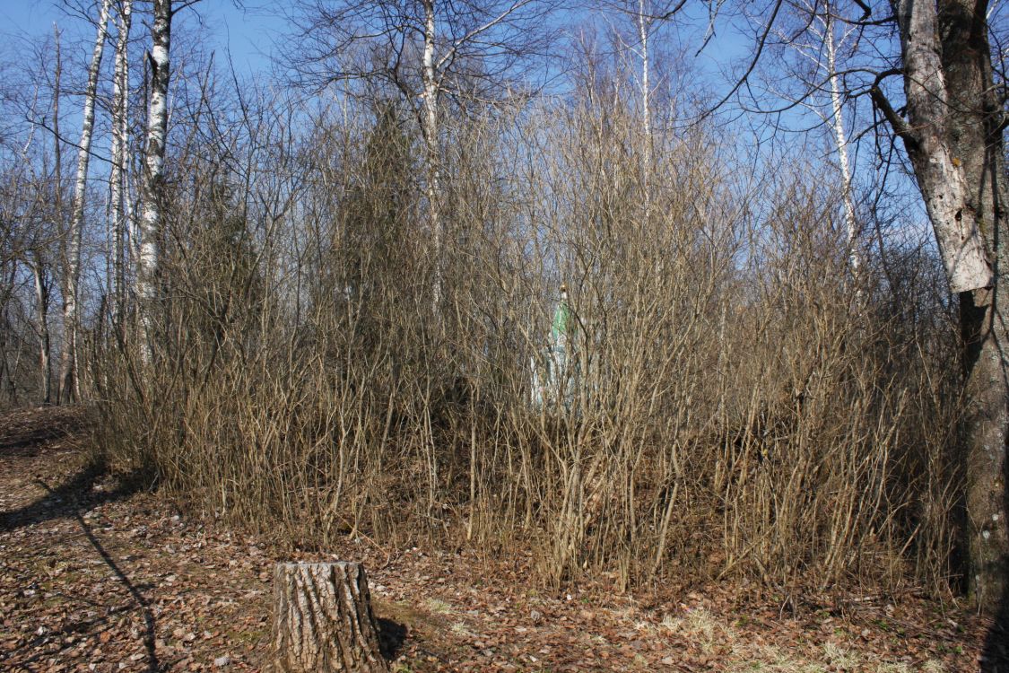 Церковь Преображения Господня, Горячкино (Можайский городской округ, Московская область). дополнительная информация, Вид на церковное место с юго-востока.