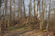 Церковь Благовещения Пресвятой Богородицы - Острицы - Можайский городской округ - Московская область