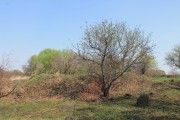 Старые Горки. Введения во храм Пресвятой Богородицы, церковь