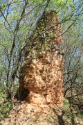 Церковь Тихвинской иконы Божией Матери, , Щетинино, Чернский район, Тульская область