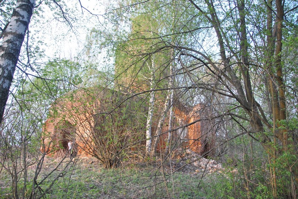 Церковь Введения во храм Пресвятой Богородицы, Новые Горки, урочище (Чернский район, Тульская область). фасады