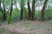 Церковь  Георгия Победоносца, Вид на церковное место с юга.<br>, Шеламово, Чернский район, Тульская область