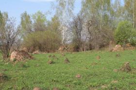 Синдеево. Церковь Рождества Пресвятой Богородицы