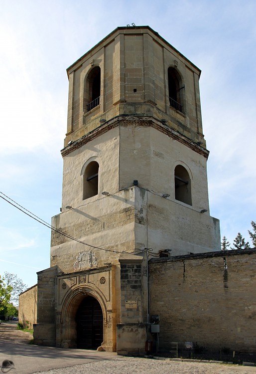 Вознесенский Галатский монастырь, Яссы (Яссы, Румыния). фасады