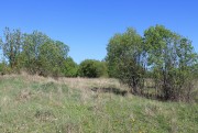 Церковь Спаса Преображения, Вид на церковное место с юга.<br>, Черноусово, Чернский район, Тульская область