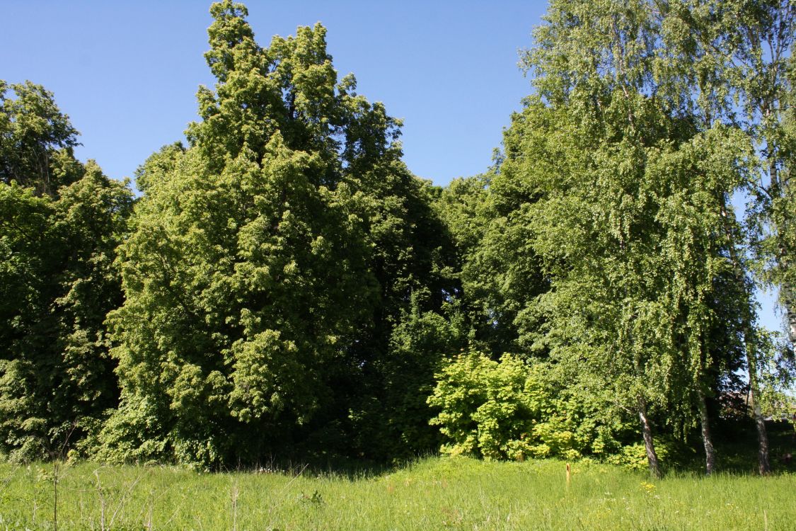 Церковь Михаила Архангела, Архангельское (Тула, город, Тульская область). дополнительная информация, Вид на церковное место с юга.