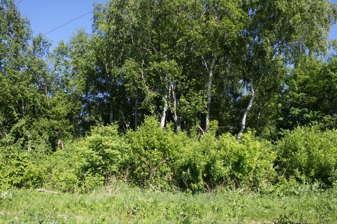 Церковь  Рождества Пресвятой Богородицы, Семёновское (Тула, город, Тульская область). дополнительная информация, Вид на церковное место с запада.