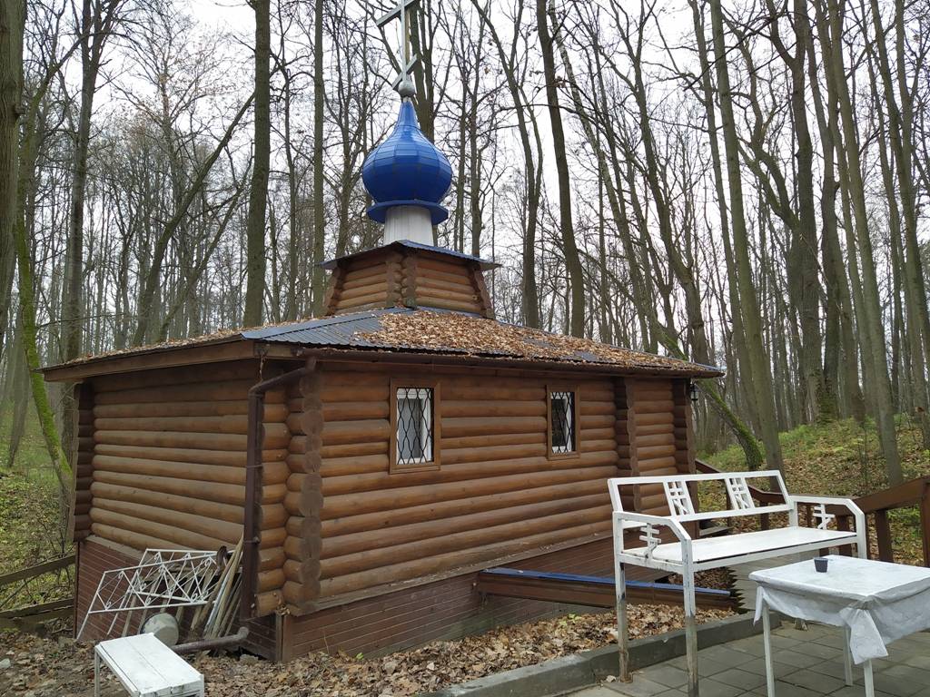 фасады. Часовня Пантелеимона Целителя, Егнышевка (Алексинский район и пос. Новогуровский, Тульская область)