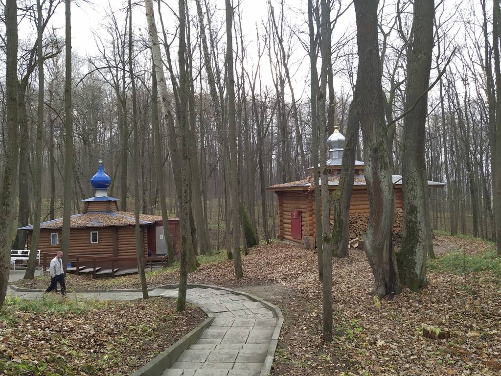 фасады. Часовня Пантелеимона Целителя, Егнышевка (Алексинский район и пос. Новогуровский, Тульская область)