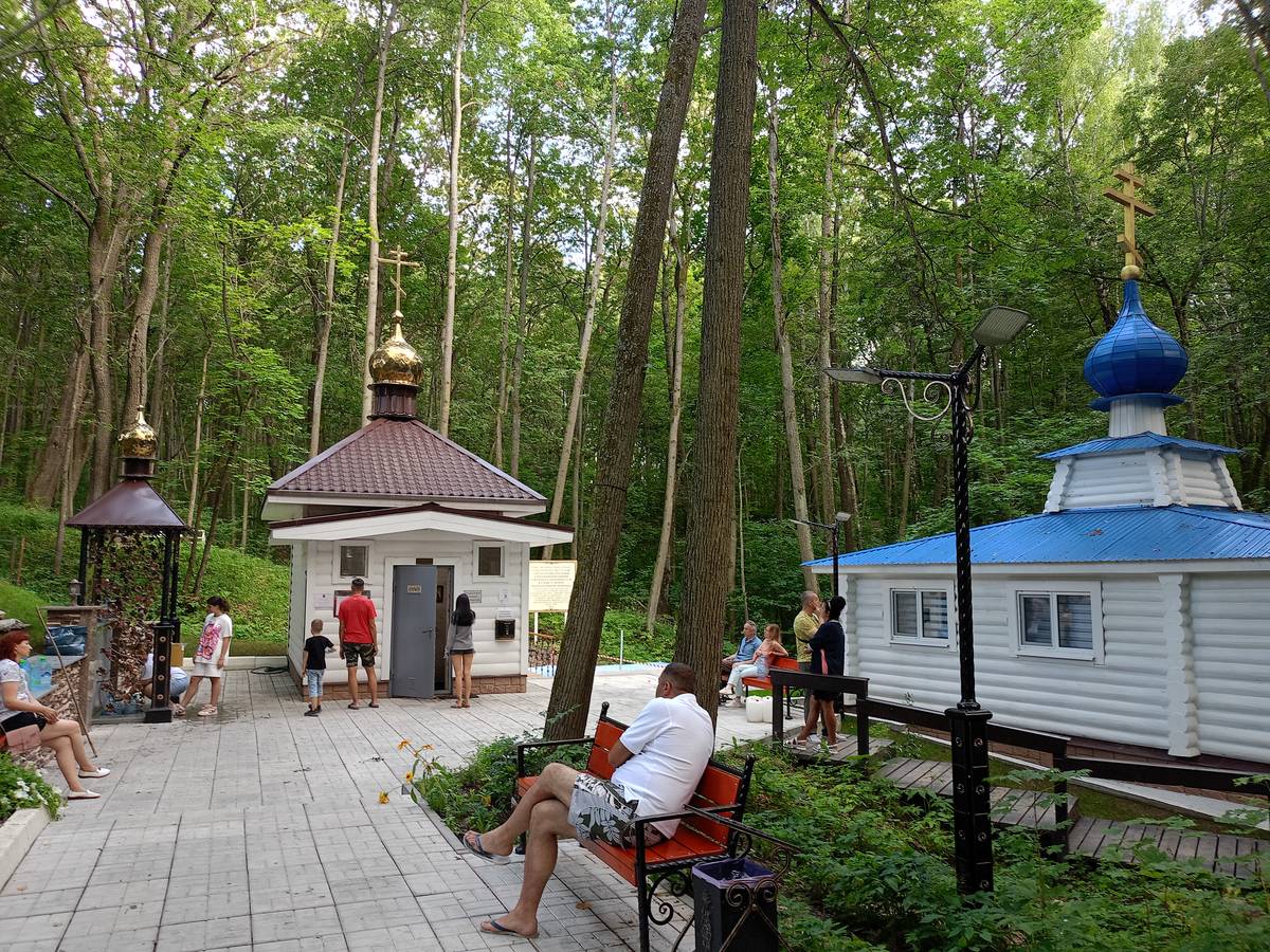 фасады. Часовня Пантелеимона Целителя, Егнышевка (Алексинский район и пос. Новогуровский, Тульская область)