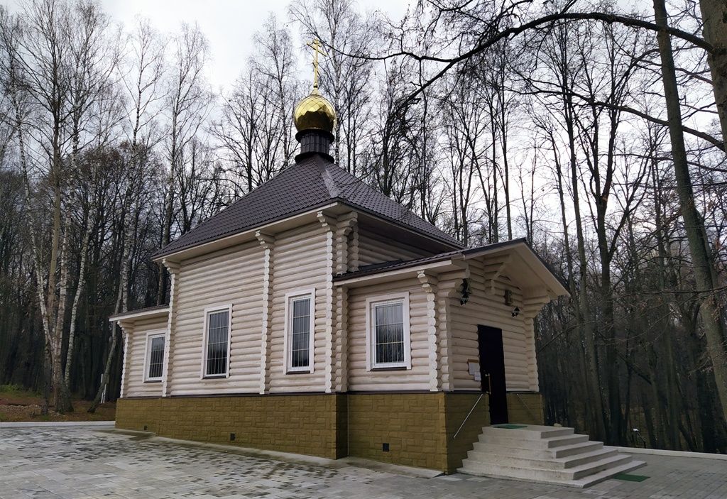 Церковь Пантелеимона Целителя, Егнышевка (Алексинский район и пос. Новогуровский, Тульская область). фасады