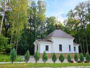 Церковь Пантелеимона Целителя, , Егнышевка, Алексинский район и пос. Новогуровский, Тульская область