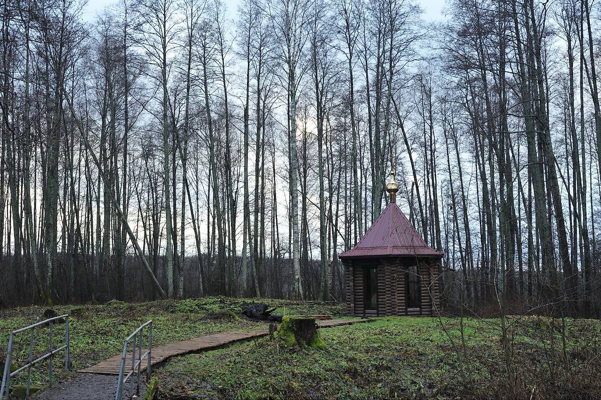 общий вид в ландшафте. Часовня Параскевы Пятницы, Богатищи (Палехский район, Ивановская область)