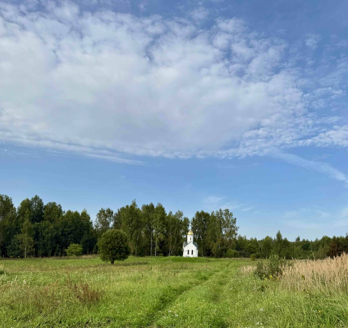 Часовня Царственных страстотерпцев, Кузьмино (Вязниковский район, Владимирская область). общий вид в ландшафте