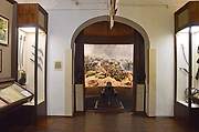 Кончанское-Суворовское. Александра Невского (каменная), церковь