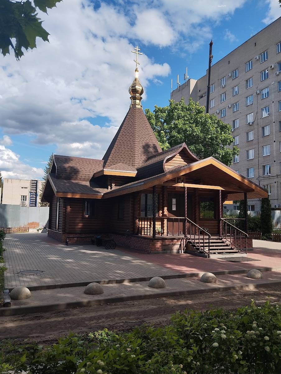 общий вид в ландшафте. Церковь иконы Божией Матери "Целительница", Воронеж (Воронеж, город, Воронежская область)
