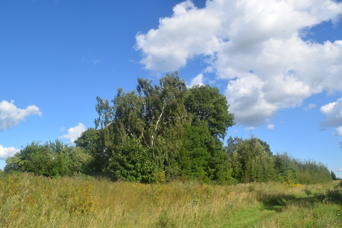 Церковь Всех Святых, Еропкино (Мещовский район, Калужская область). дополнительная информация, Предполагаемое храмовое место (вид с западной стороны)