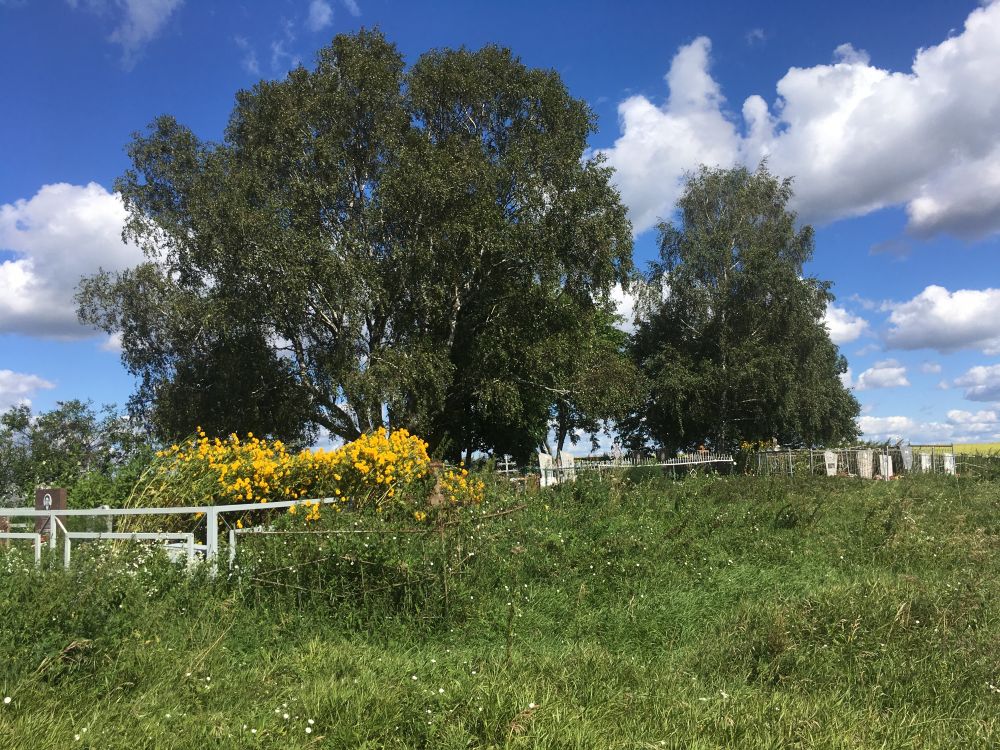 Церковь Преображения Господня, Спасский погост (Мещовский район, Калужская область). дополнительная информация, Предполагаемое храмовое место Преображенской церкви согласно карте Генерального межевания Мещовского уезда 1782 г. (вид с западной стороны)