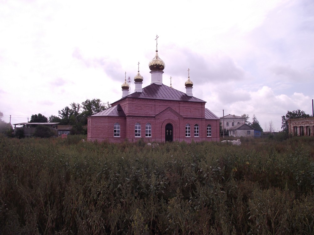 Церковь Сергия Радонежского (новая), Бакуры (Екатериновский район, Саратовская область). общий вид в ландшафте