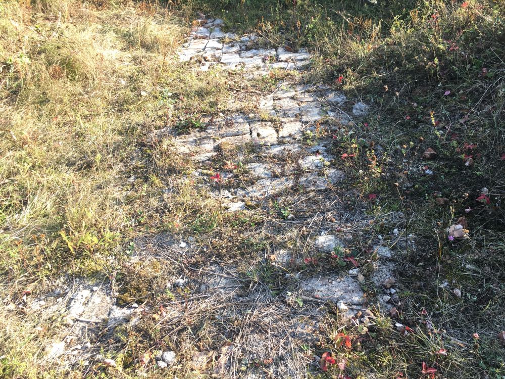 Церковь Покрова Пресвятой Богородицы, Покров (Мещовский район, Калужская область). дополнительная информация, Храмовое место остатки фундамента