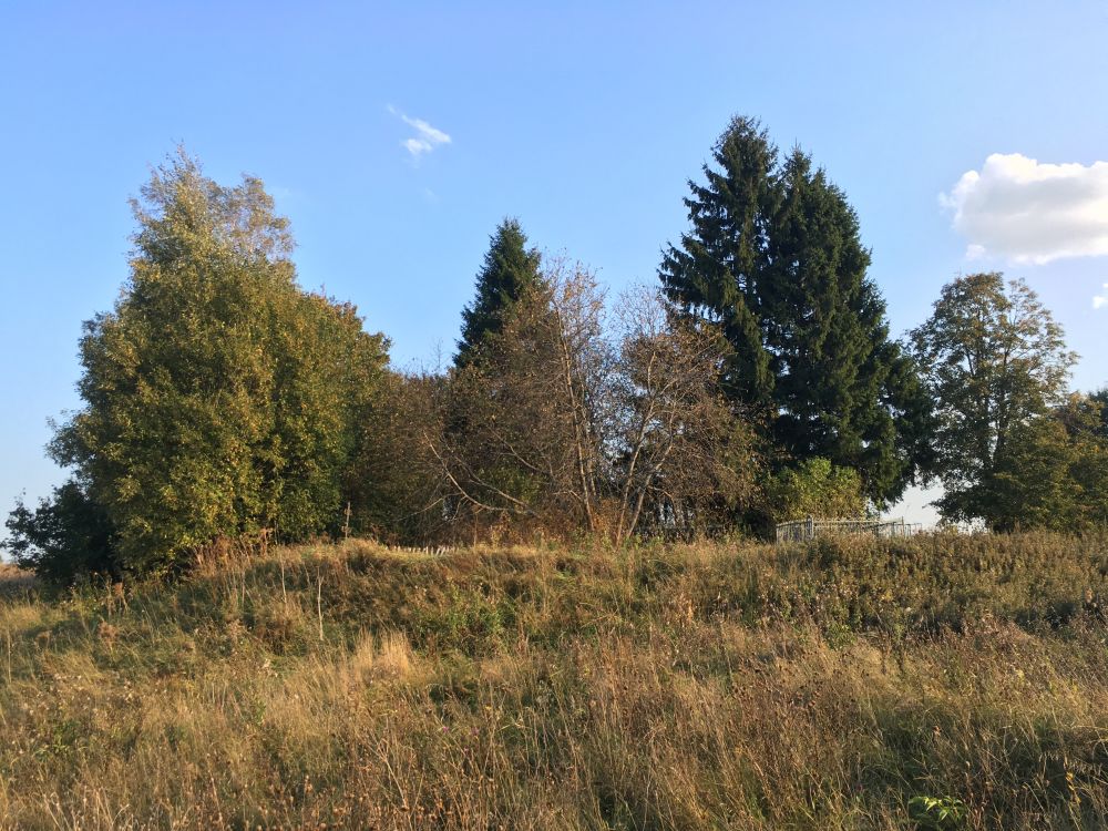 Церковь Иоанна Богослова, Колодези (Мещовский район, Калужская область). дополнительная информация, Предполагаемое храмовое место церкви Иоанна Богослова согласно карте Генерального межевания Мещовского уезда 1782 г. (вид с западной стороны)