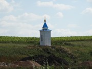 Часовня Илии Пророка - Река Дёма - Пономарёвский район - Оренбургская область