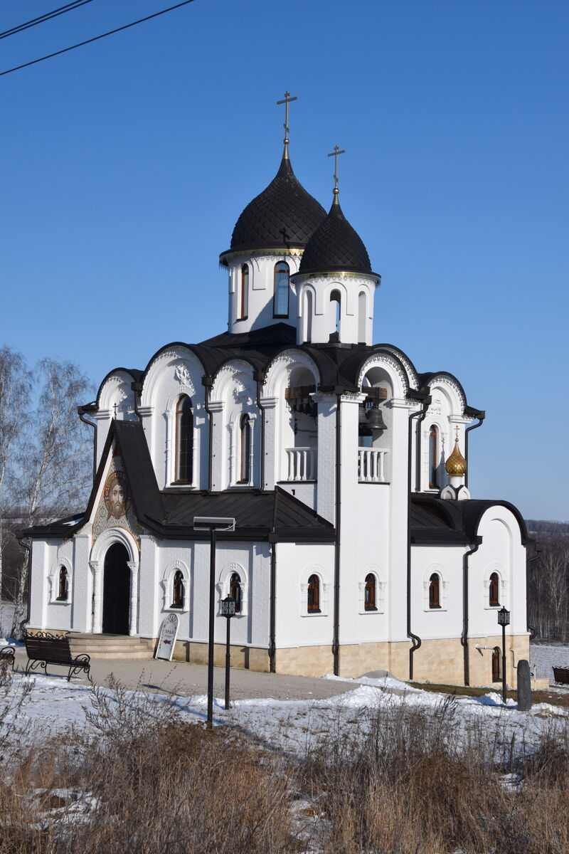 Епископа Рязанского, церковь Василия, Протекино (Зарайский городской округ, Московская область). фасады