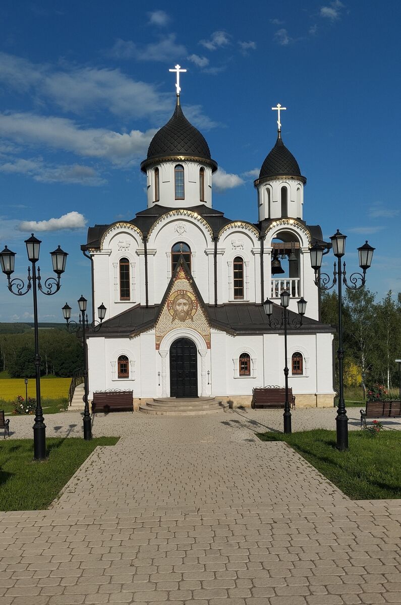 Епископа Рязанского, церковь Василия, Протекино (Зарайский городской округ, Московская область). фасады