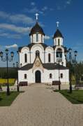 Епископа Рязанского, церковь Василия, , Протекино, Зарайский городской округ, Московская область