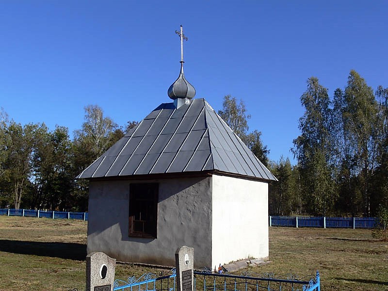 Неизвестная часовня, Ленин (Житковичский район, Беларусь, Гомельская область). общий вид в ландшафте
