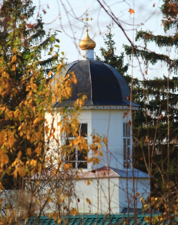 Домовая церковь Иоанна Богослова при Духовной семинарии, Курск (Курск, город, Курская область). дополнительная информация, Главка храма, вид из-за ограды земельных владений семинарии. Съёмка здания вблизи крайне затруднена по причине бескомпромиссной позиции охранников