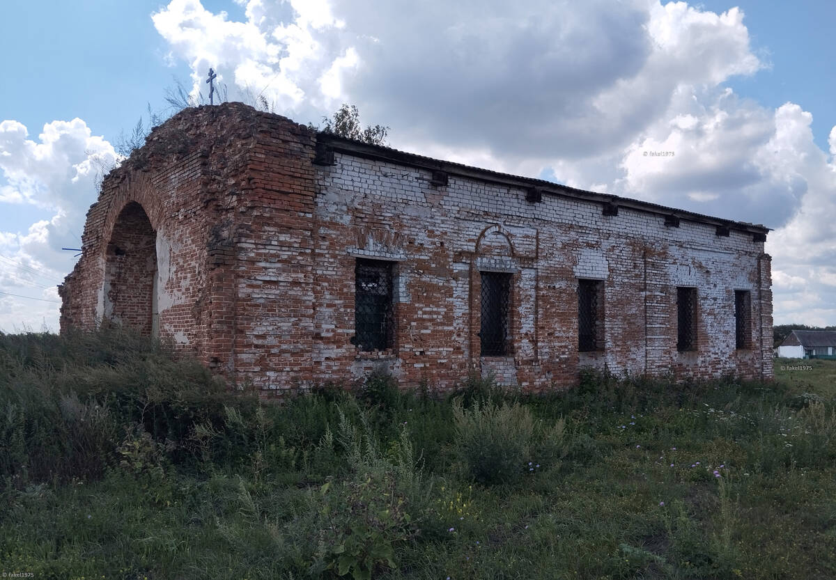 Церковь Михаила Архангела, Верхняя Плавица (Верхнехавский район, Воронежская область). общий вид в ландшафте