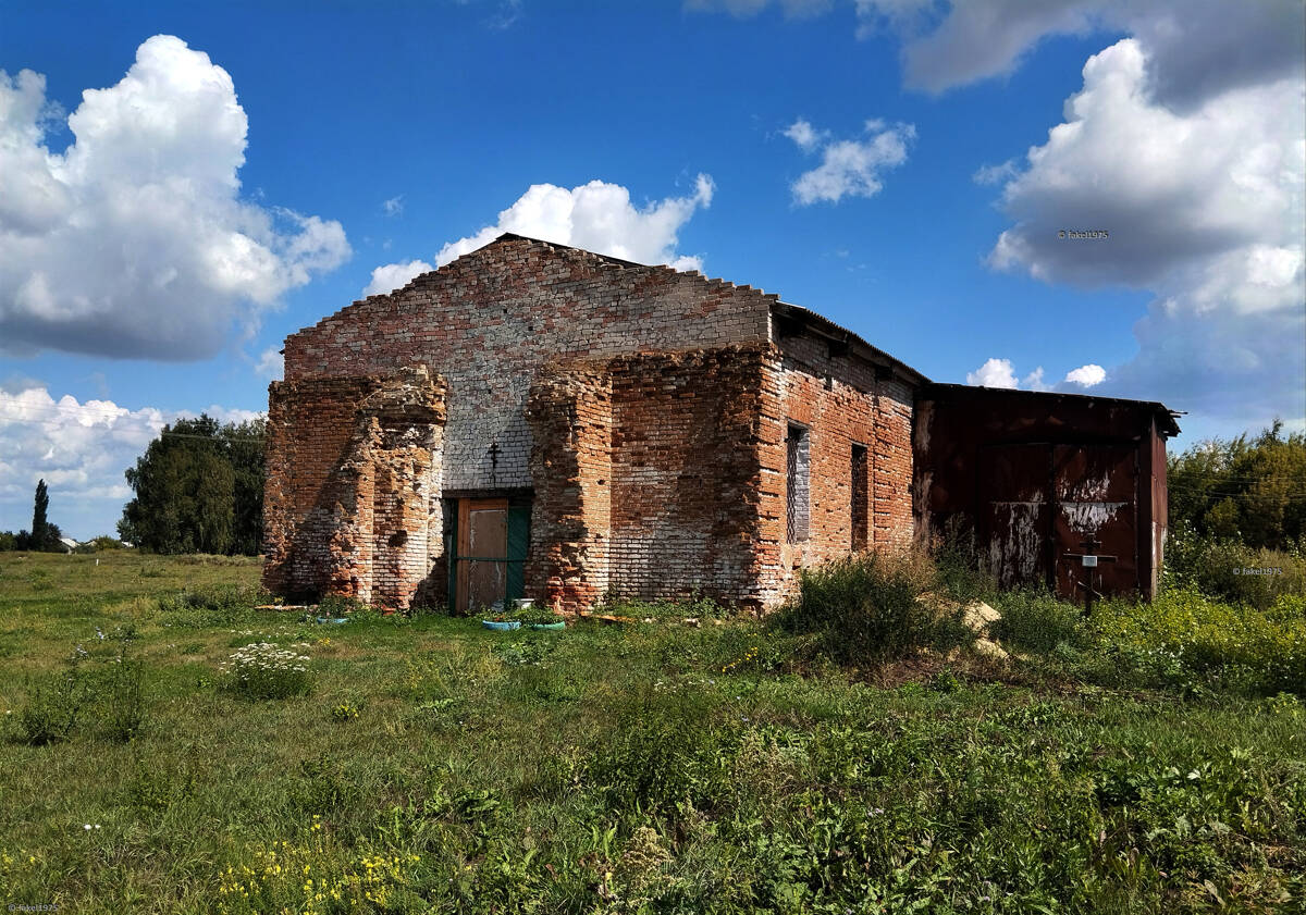 Церковь Михаила Архангела, Верхняя Плавица (Верхнехавский район, Воронежская область). общий вид в ландшафте