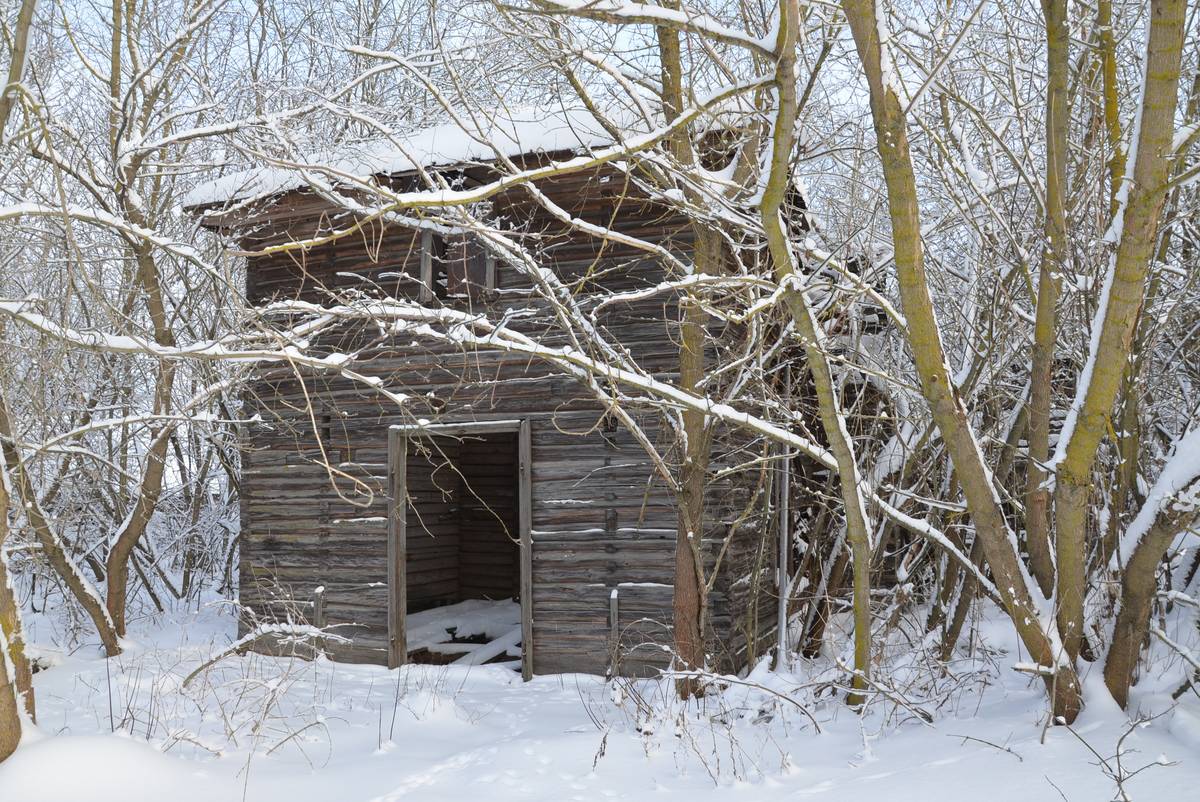 Западный фасад, фасады. Церковь Рождества Пресвятой Богородицы, Косичи (Суражский район, Брянская область)