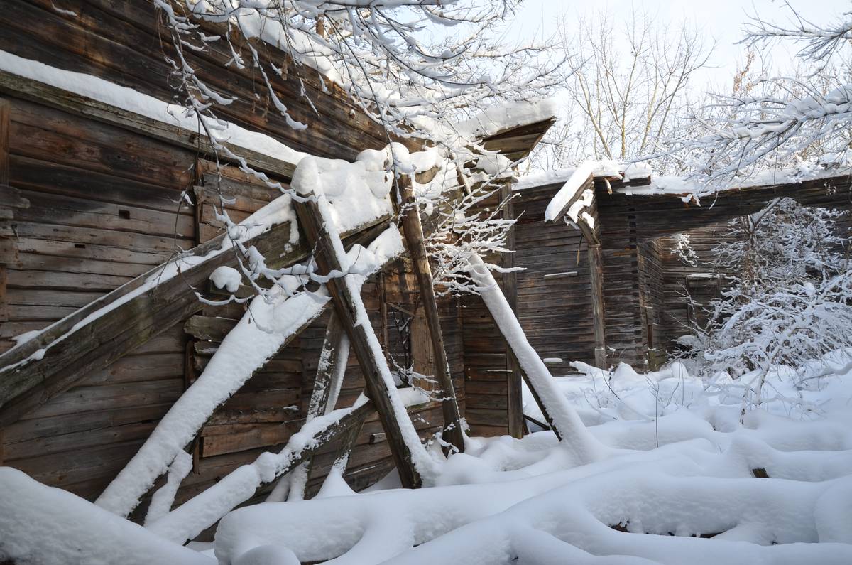 Вид с запада, интерьер и убранство. Церковь Рождества Пресвятой Богородицы, Косичи (Суражский район, Брянская область)