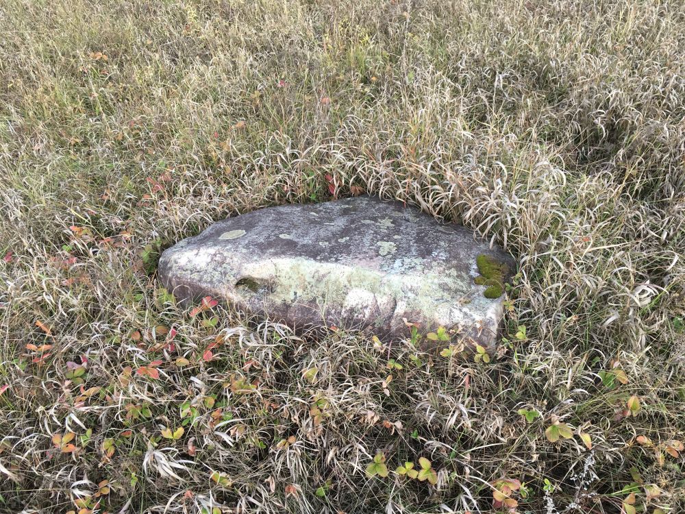 Церковь Успения Пресвятой Богородицы, Сметское (Ульяновский район, Калужская область). дополнительная информация, Предполагаемое храмовое место 