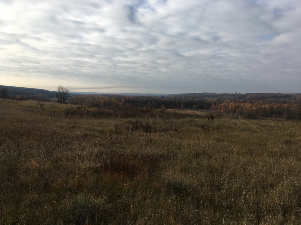 Церковь Успения Пресвятой Богородицы, Сметское (Ульяновский район, Калужская область). дополнительная информация, Предполагаемое храмовое место согласно карте Генерального межевания Козельского уезда 1782 г. (вид с северной стороны на д. Слободка)