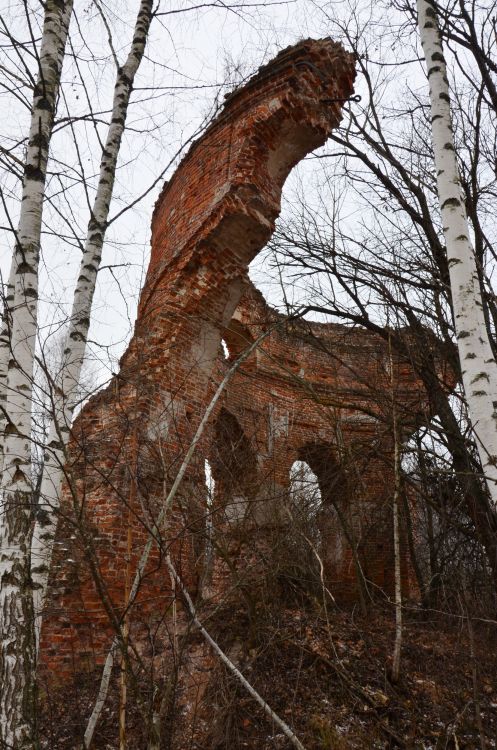 Коханово, урочище. Церковь Успения Пресвятой Богородицы. архитектурные детали