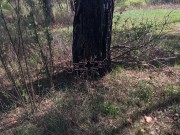 Церковь Успения Пресвятой Богородицы, Храмовое место <br>, Сопово, Ульяновский район, Калужская область
