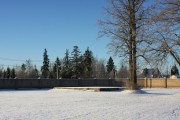 Алабушево. Троицы Живоначальной, церковь